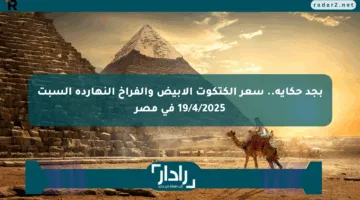 بجد حكاية.. سعر الكتكوت الأبيض والفراخ النهارده السبت 19/4/2025 في مصر